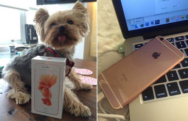 Жительница США получила свой розовый iPhone 6s за пять дней до начала официальных продаж