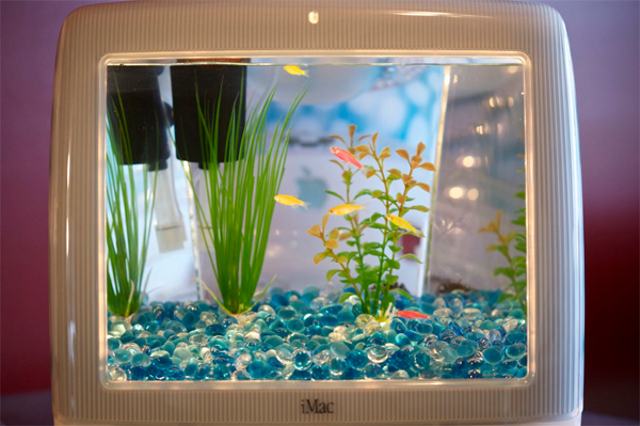 Энтузиаст начал массовую продажу аквариумов, сделанных из iMac