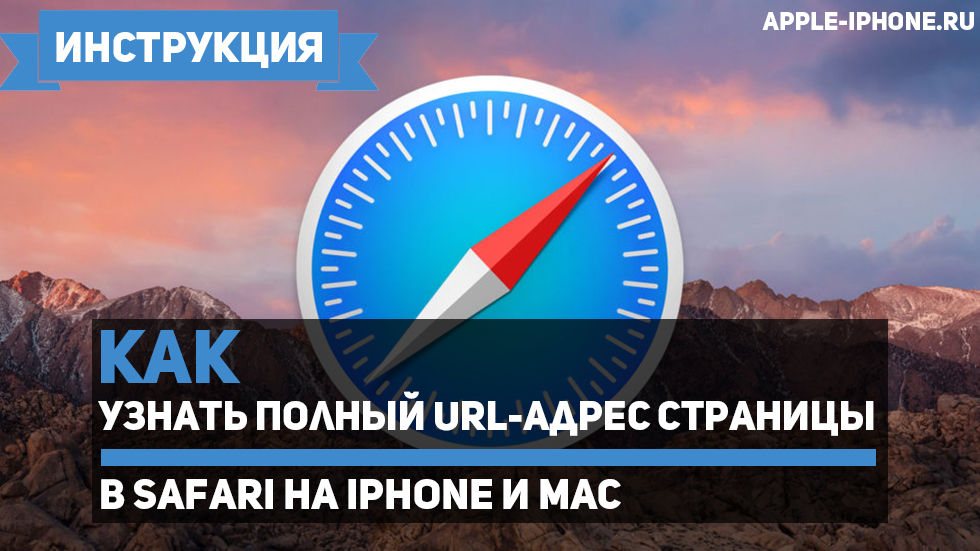 Как узнать полный URL-адрес страницы в Safari на iPhone и Mac