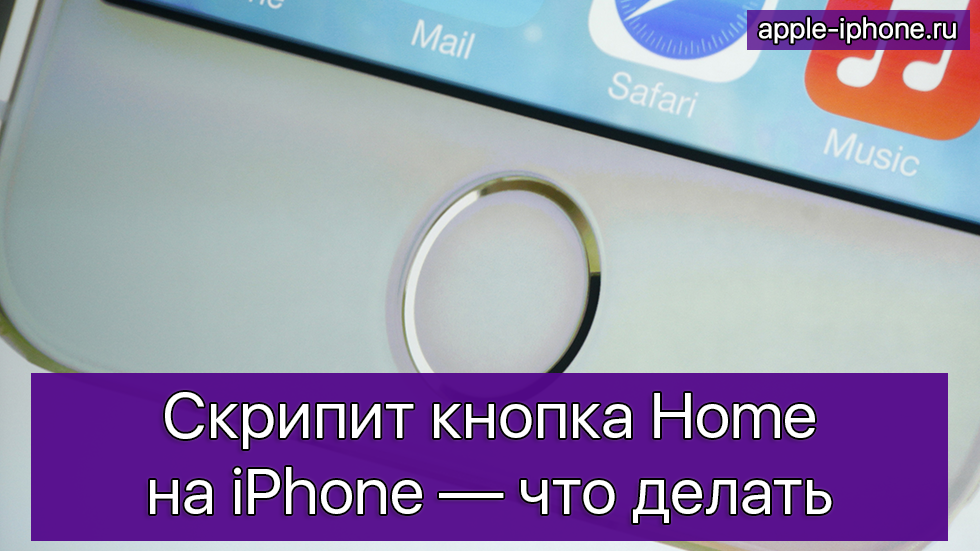 Скрипит кнопка Home на iPhone — что делать