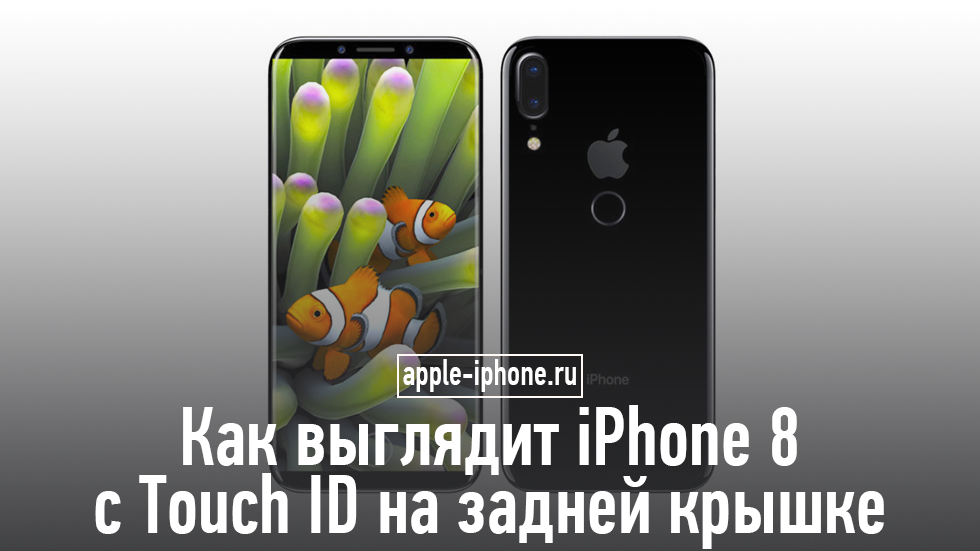 Как выглядит задняя крышка iPhone 8 с Touch ID и вертикальной камерой (фото)
