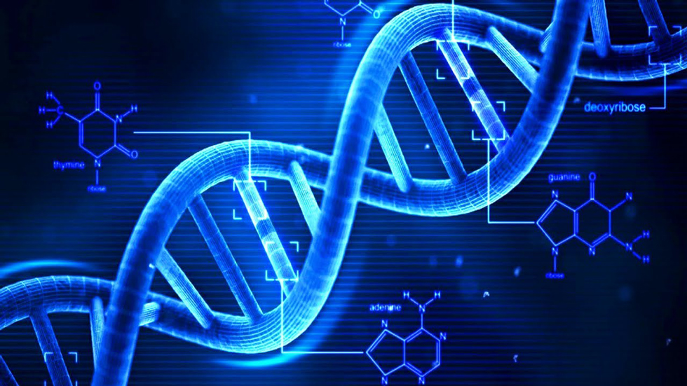 В будущем компьютерные вирусы смогут встраивать в ДНК