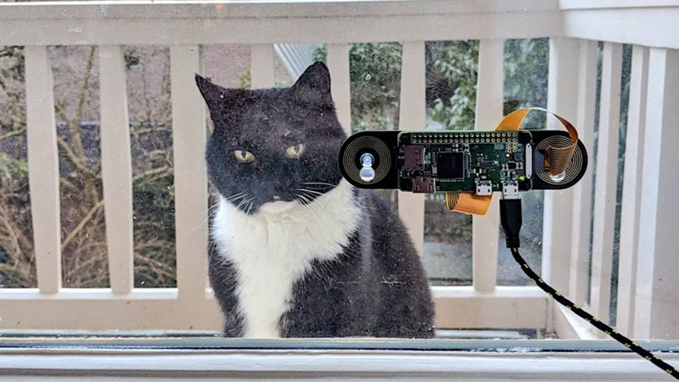 Кот программиста из Голландии попадает домой с помощью системы распознавания морды
