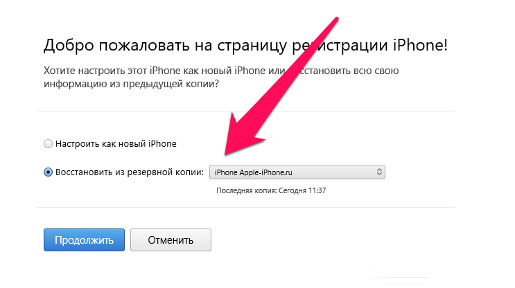 Как правильно установить iOS 13, чтобы на iPhone не было проблем Рабочий способ