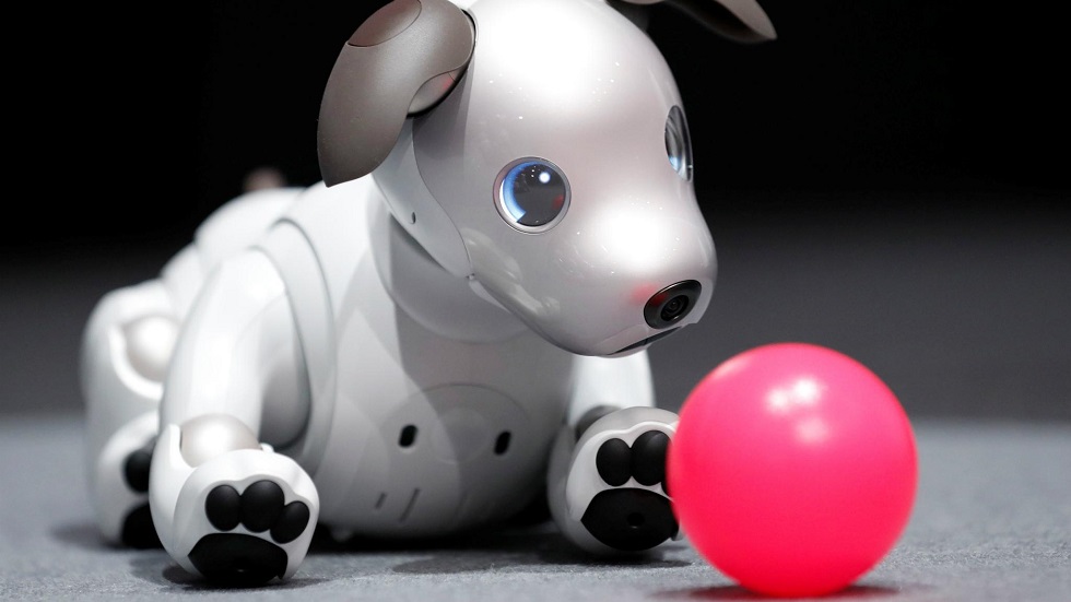 Собака Aibo на выставке М-видео