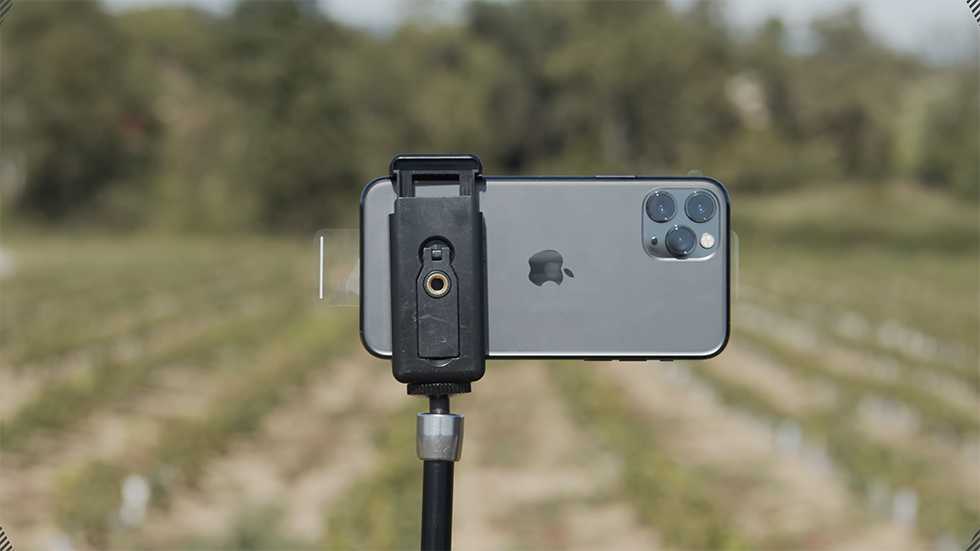 iPhone 11 Pro сравнили с камерой за 15 миллионов рублей