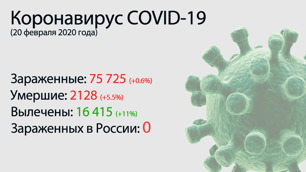 Главное о коронавирусе COVID-19 на 20 февраля. Российское лекарство помогает лечить больных