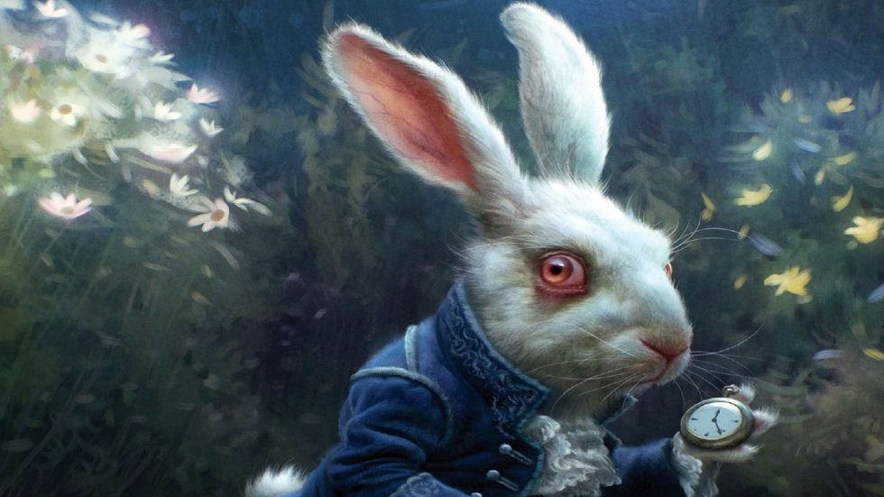 «Белый кролик» и другие опасные схемы мошенничества начала 2020 года