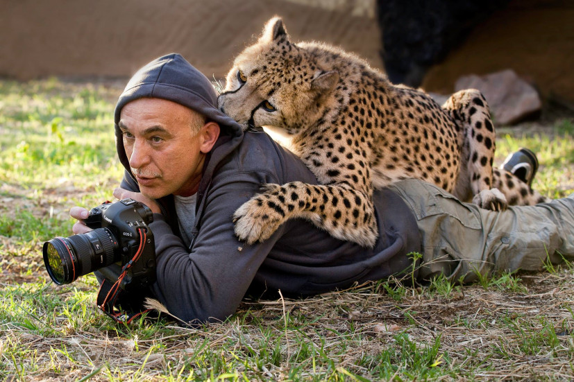 Международный фотоконкурс дикой природы. Победил россиянин с амурским тигром + другие фотографии участников