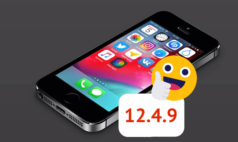 iOS 12.4.9 для iPhone 5s, iPad Air, iPhone 6, iPhone 6 Plus, iPad mini 2,3