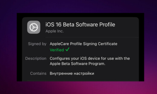 Профиль разработчика iOS 16 Beta Software Profile