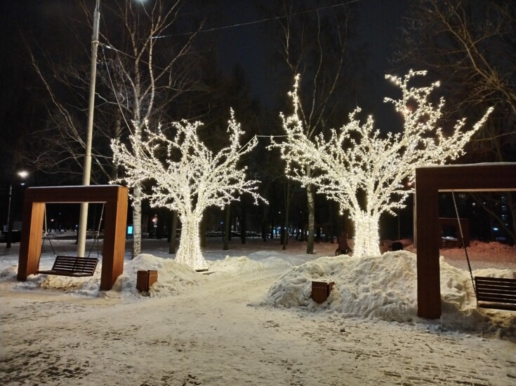 Светящиеся деревья. Снято на HONOR X9a