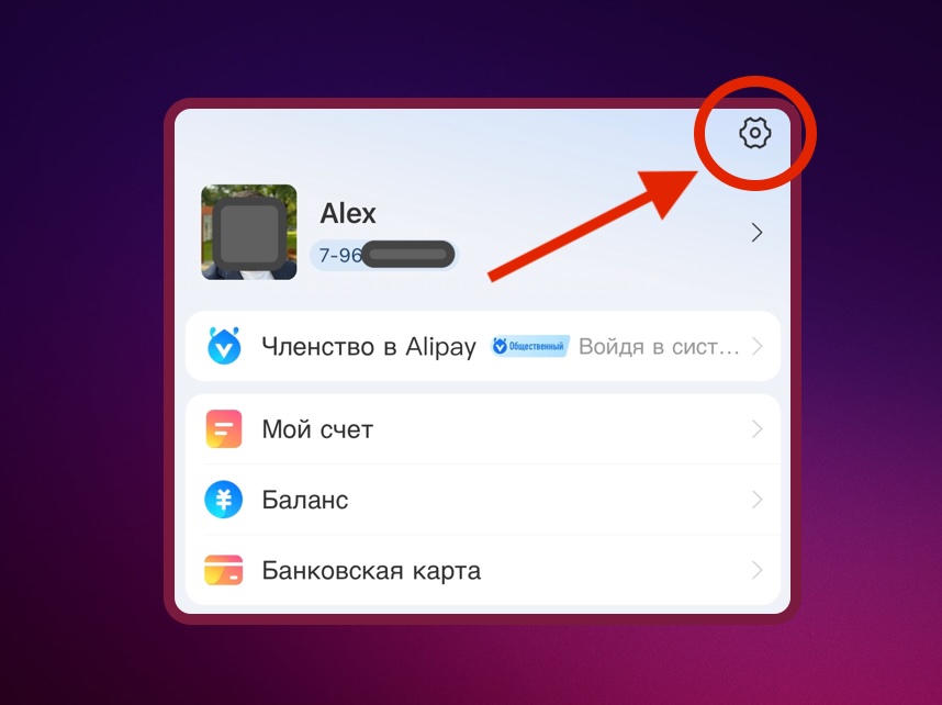 Настройки личных данных в приложении AliPay